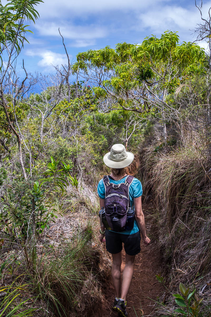 Nualolo hiking trail ruts