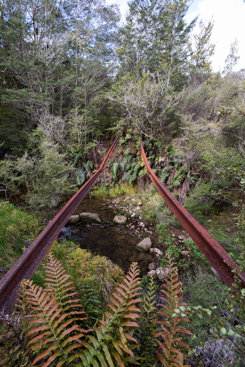 Charming Creek Walk tracks