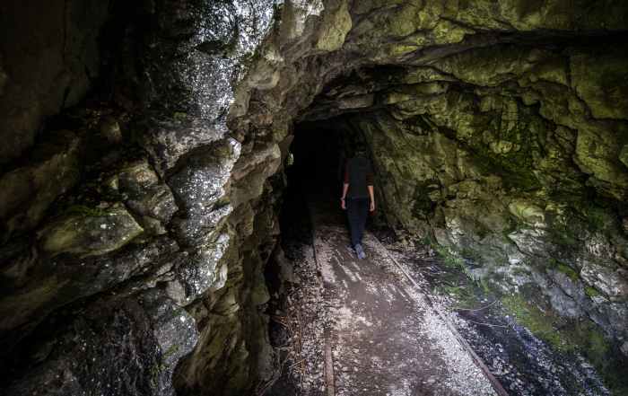 Charming Creek Walk tunnel